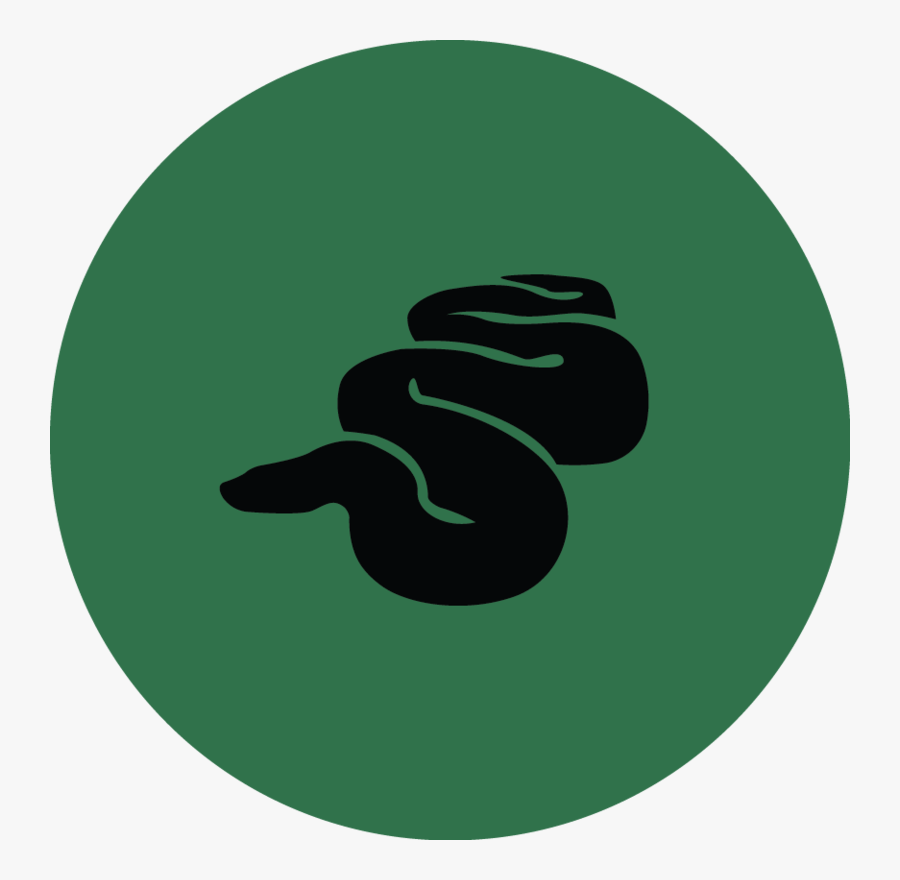 Slytherin Png Download Image - Circle, Transparent Clipart