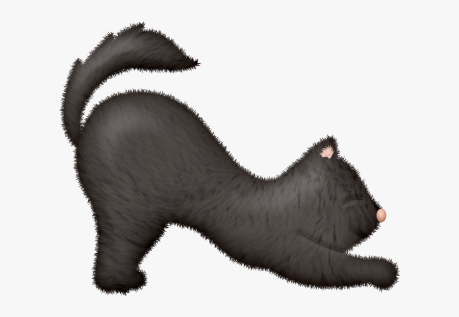 Cat Yawns, Transparent Clipart