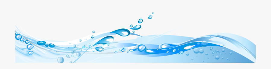 Water Brain Transparent, Transparent Clipart