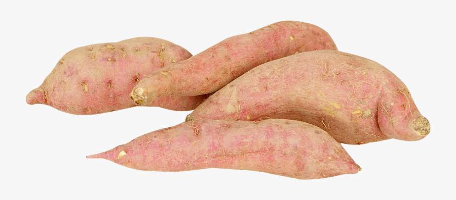 Sweet Potato Png Image - Sweet Potato Png, Transparent Clipart