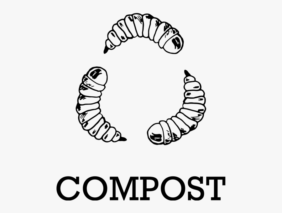 Live Bsfl For Compost - 2 Larva Clip Art Black And White, Transparent Clipart