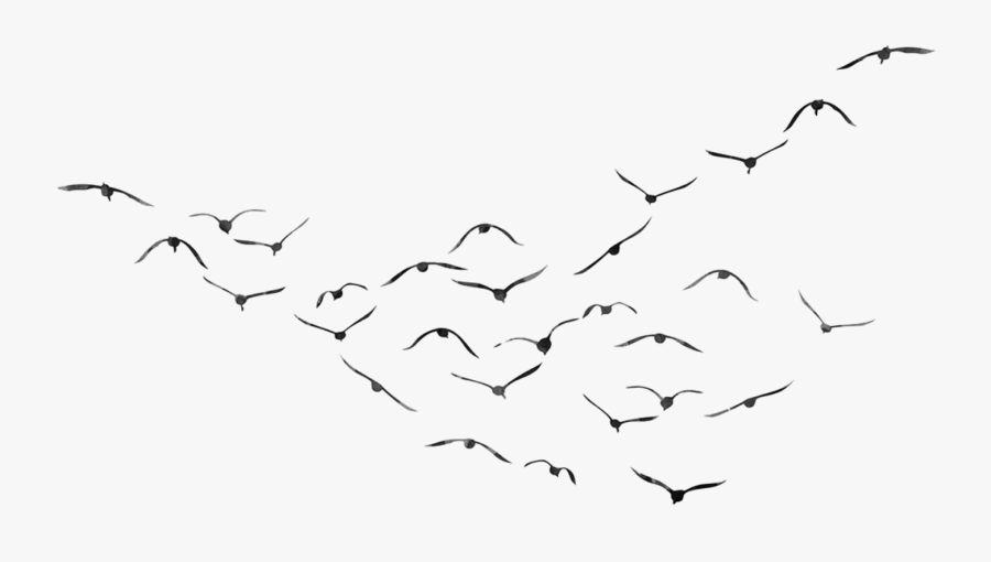 Image"
 Class="img-fluid - Picsart Png Effect Download, Transparent Clipart