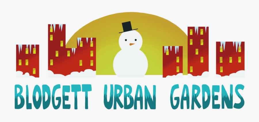 Sweet Potato Blodgett Urban - Illustration, Transparent Clipart