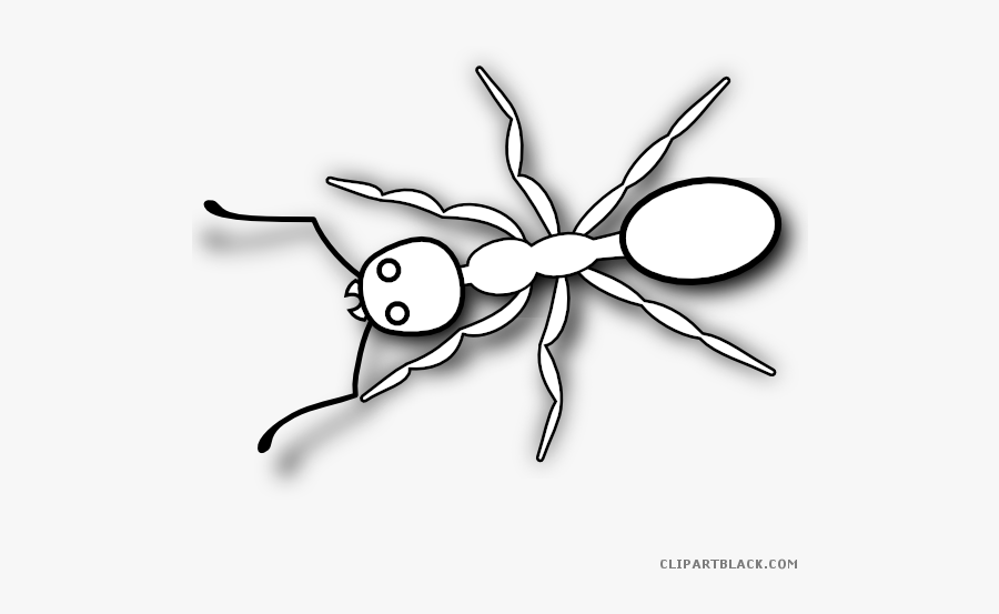 Fly - Ants Worker Clipart Black And White, Transparent Clipart