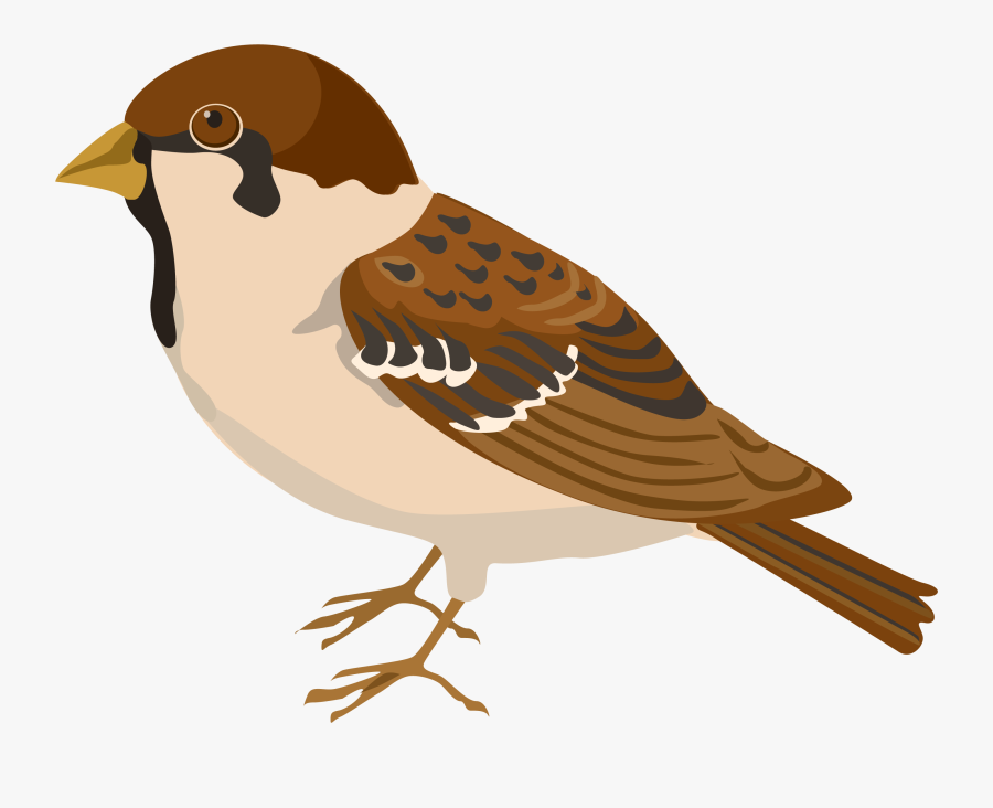 Thumb Image - Sparrow Clipart, Transparent Clipart