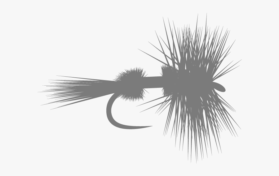 Sea Urchin, Transparent Clipart
