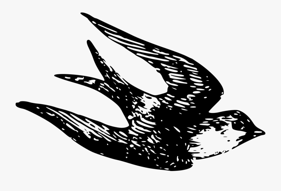 Sparrow - Vintage Sparrow Clip Art, Transparent Clipart