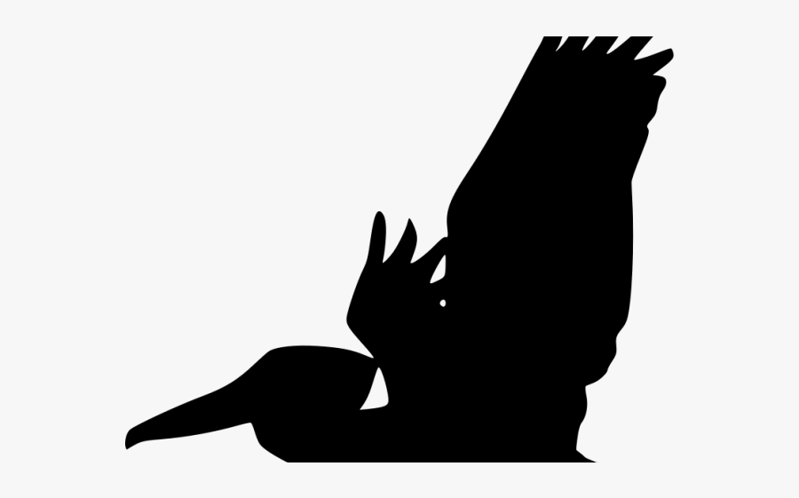 Pelican Flying Silhouette, Transparent Clipart