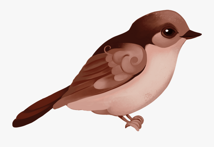 Eastern Kingbird, Transparent Clipart