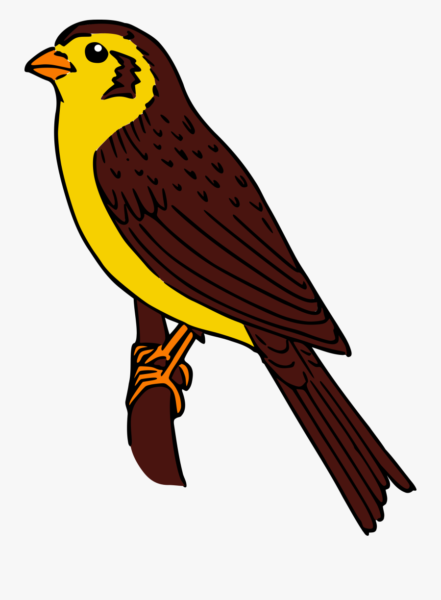 Collection Of Free Falcon Drawing Colored Download - Clip Art Sparrow Hawk, Transparent Clipart