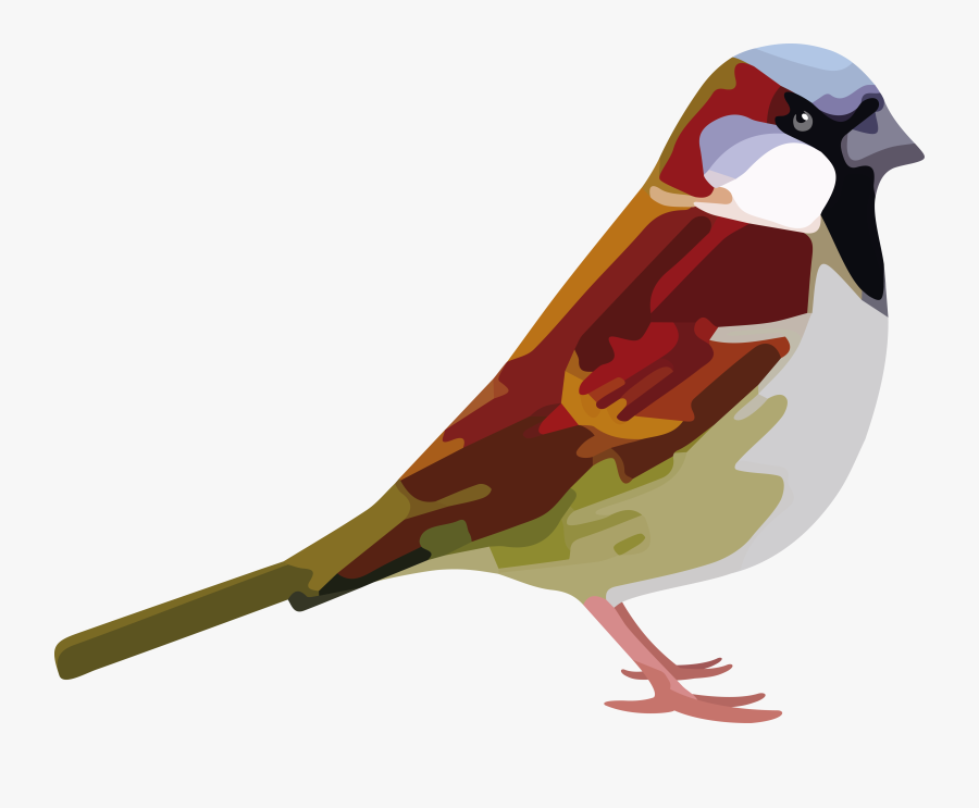 Transparent Sparrow Clipart - House Sparrow, Transparent Clipart