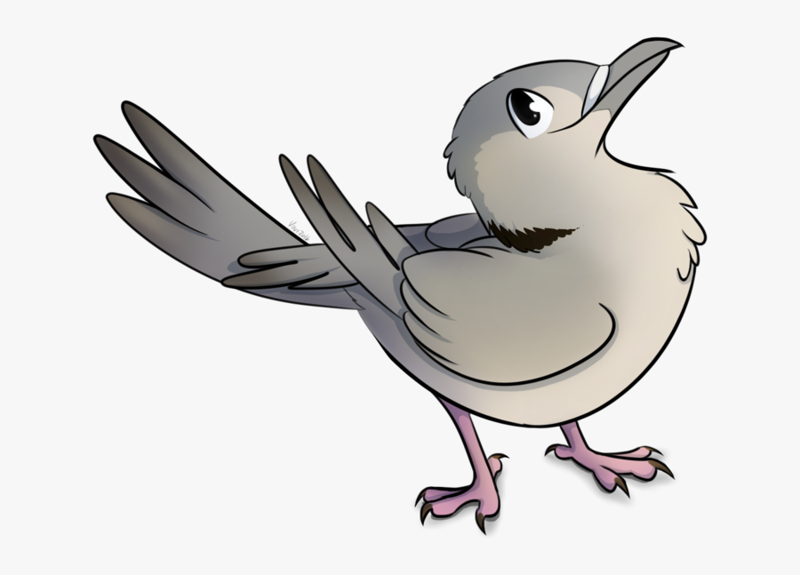 Pigeon Clipart Sparrow - Cartoon, Transparent Clipart