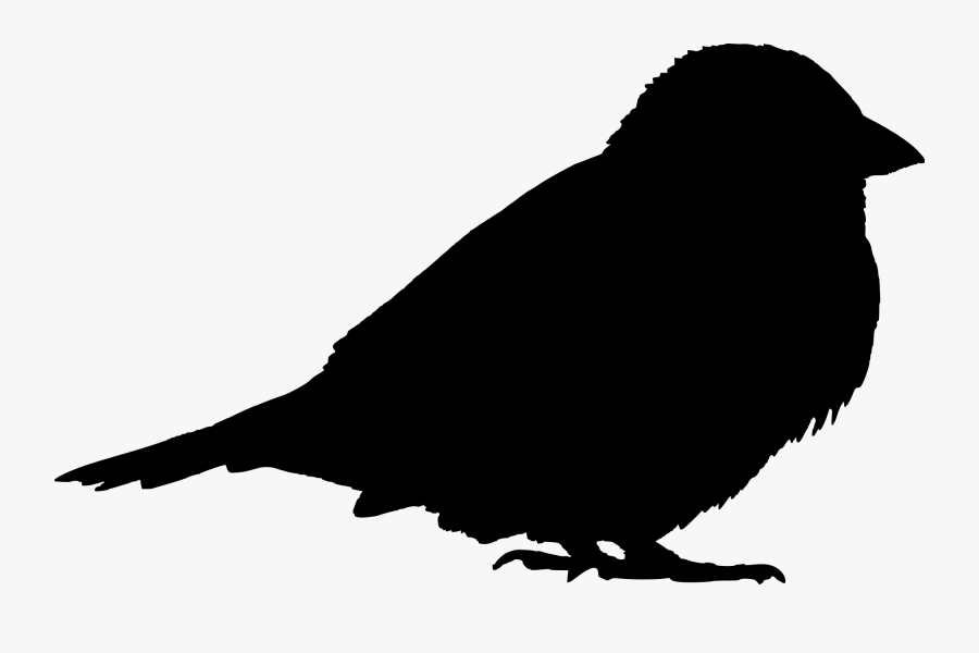 Transparent Sparrow Clipart - Sparrow Silhouette Svg, Transparent Clipart