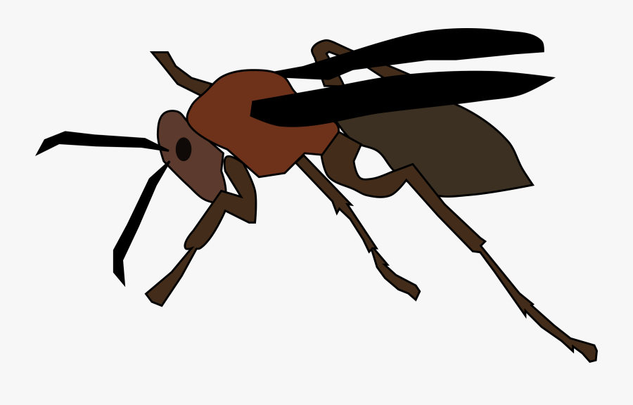 Insects Clipart Wasp - Paper Wasp Cartoon, Transparent Clipart