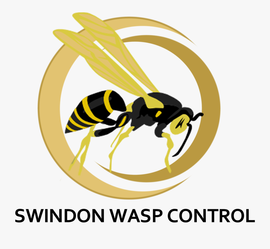 Transparent Bee Wings Clipart - Wasp Clipart, Transparent Clipart