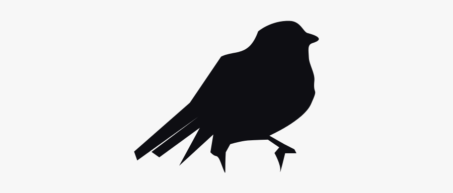 Free Spatz-0480 - Fish Crow, Transparent Clipart