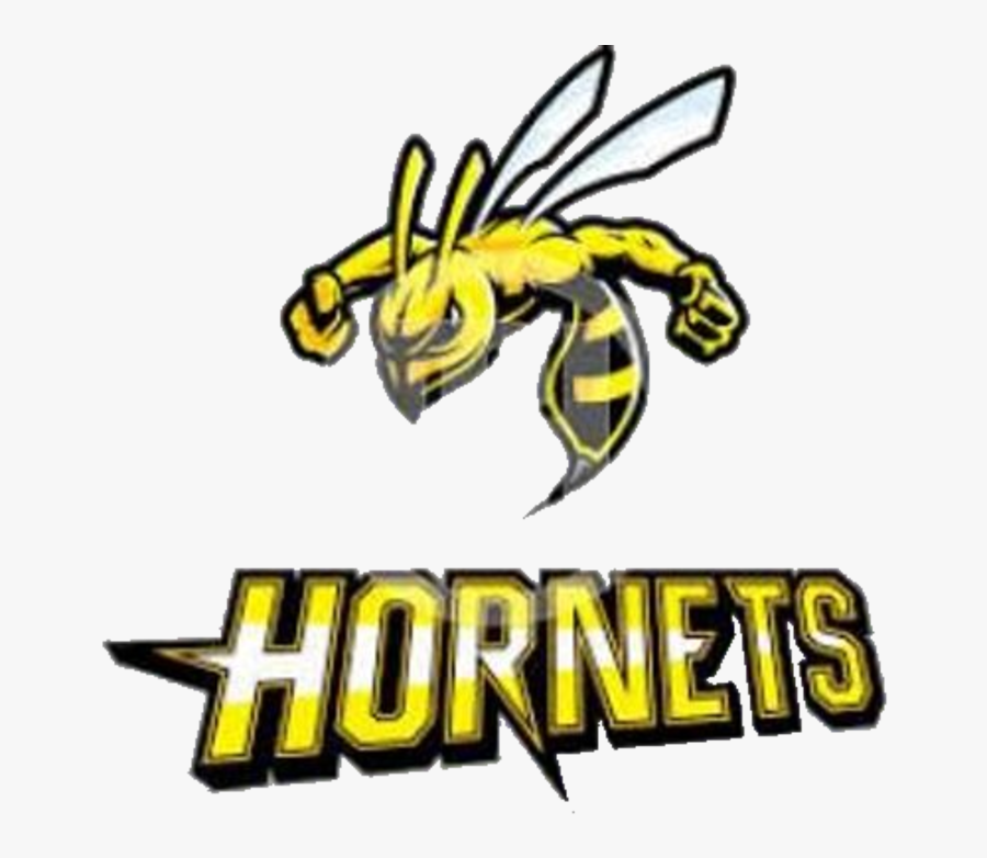 The Surrattsville Hornets Vs - Surrattsville High School Mascot, Transparent Clipart