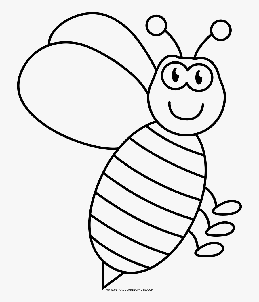 Wasp Coloring Page, Transparent Clipart