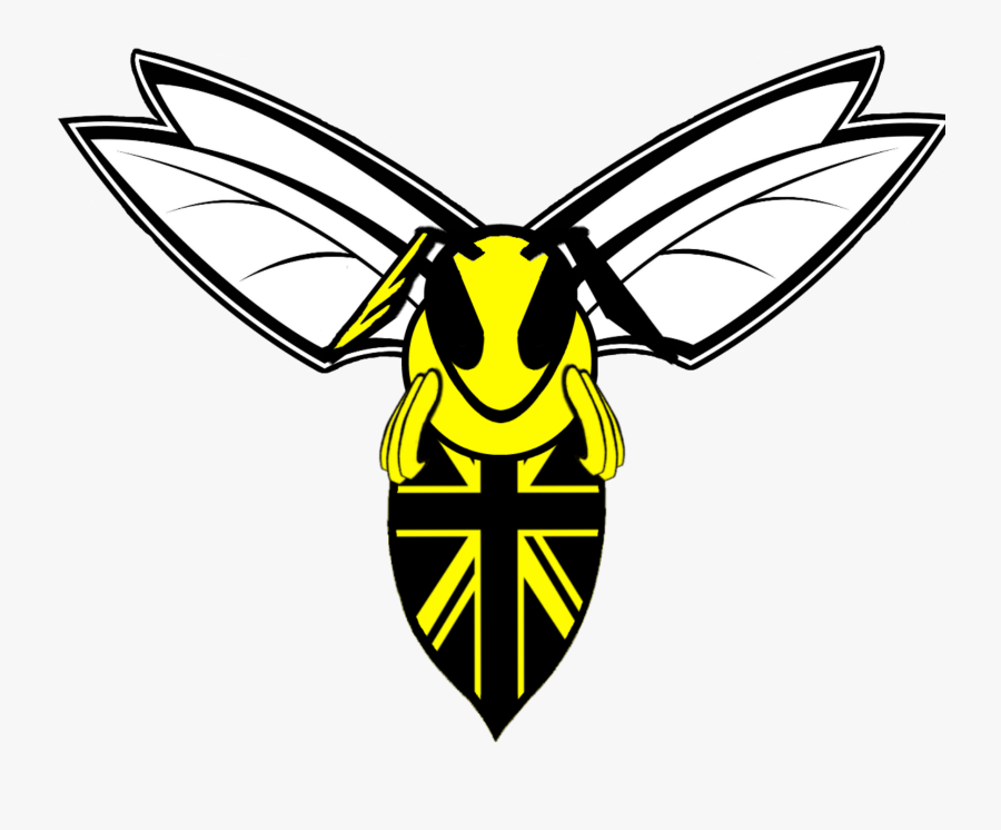 Wasps - Wasp, Transparent Clipart