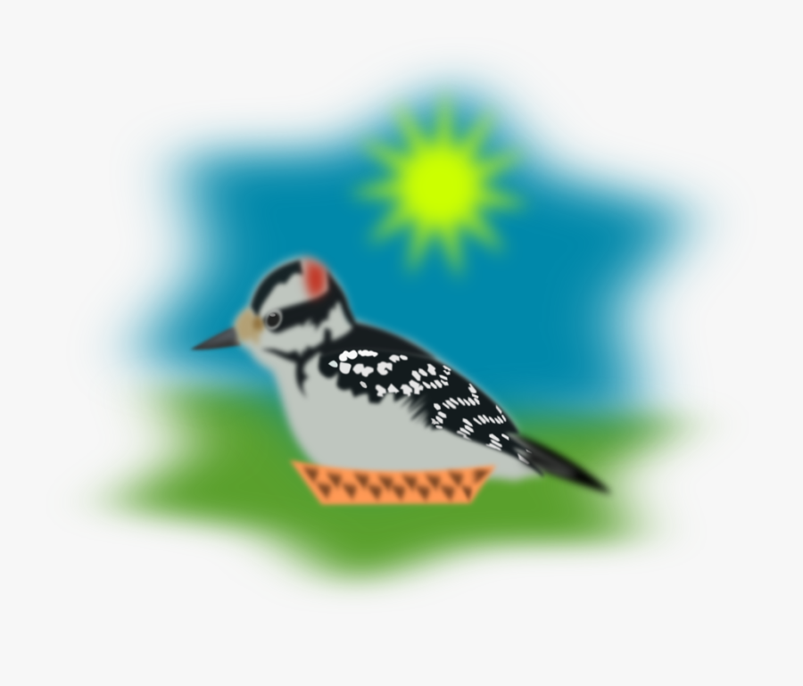 Sparrow, Pecker, Woodpecker, Bird - Downy Woodpecker, Transparent Clipart