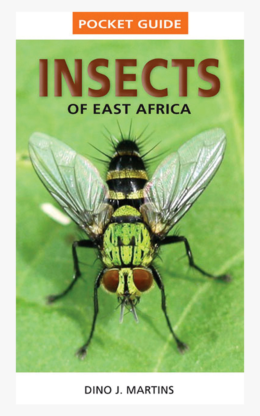 Clip Art Pocket Guide To Insects - Pocket Guide Insects Of East Africa, Transparent Clipart
