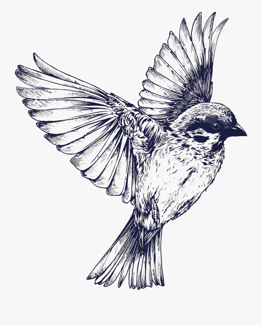 Tattoo Flight Sparrow Painted Drawing Vector Swallow - Bird Tattoo Black And White, Transparent Clipart