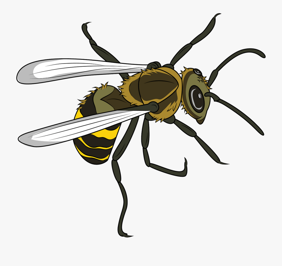 Hornet, Transparent Clipart