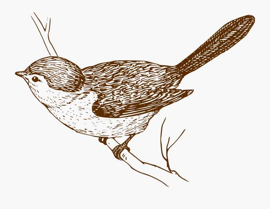 Graphic Freeuse Wren Drawing - Friend Is More Precious Than Gold, Transparent Clipart