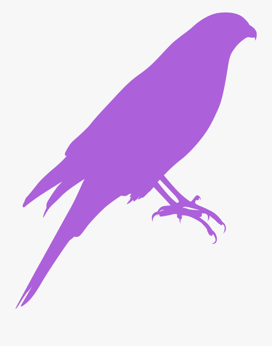 Perching Bird, Transparent Clipart