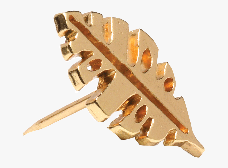 Transparent Push Pins Png - Wood, Transparent Clipart