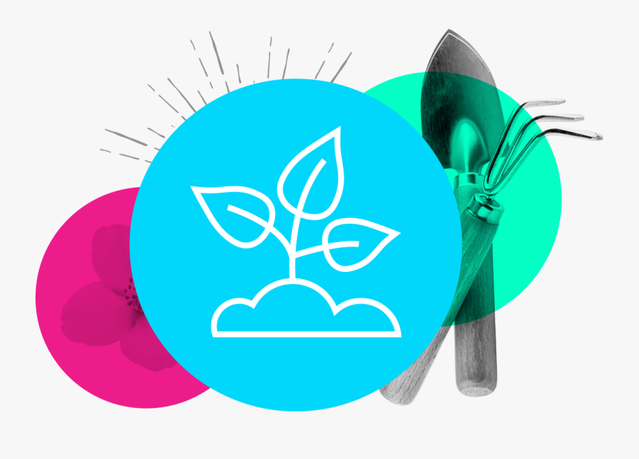 Clip Art, Transparent Clipart