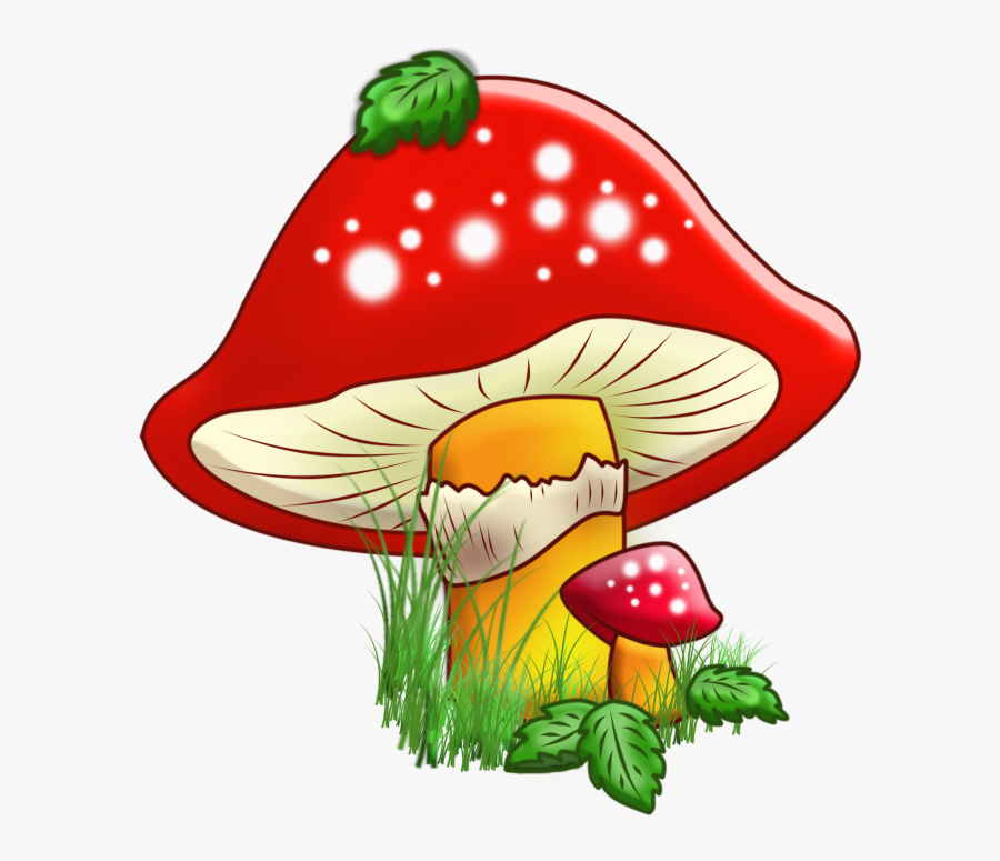 Resultat, Grandkids, Salsa, Clip Art, Images, Fungi, - Fungus Cartoon, Transparent Clipart