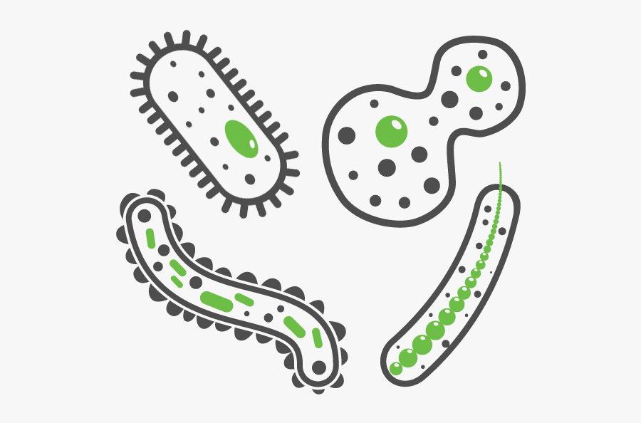 Solstice Of Heroes Symbol, Transparent Clipart