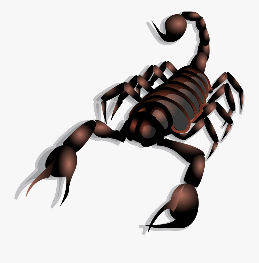 Scorpion Clipart Celtic Knot - Scorpion Clip Art, Transparent Clipart