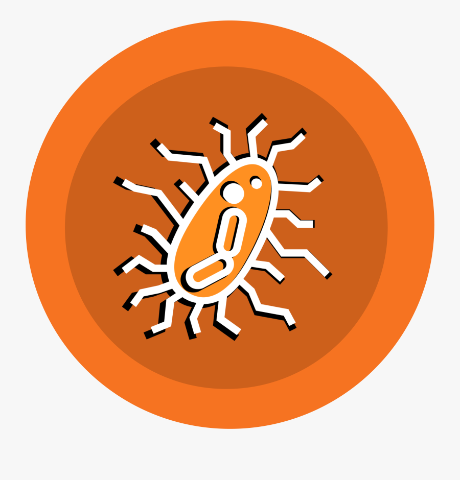 Circle, Transparent Clipart