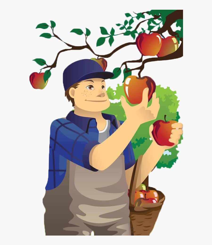 Apple Orchard Of Village Fruit Uncle Apples - Picking Apples Clipart, Transparent Clipart