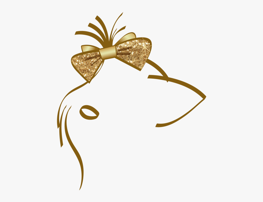 We Can Groom A Dog In As Little As 1 Hour If It Necessary, Transparent Clipart