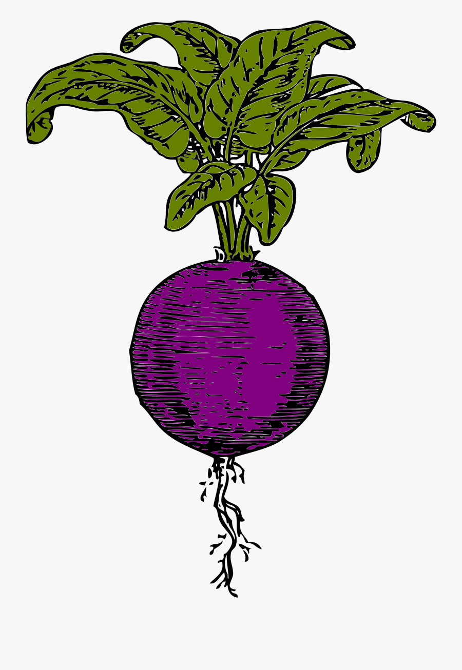 Clipart, Transparent Clipart