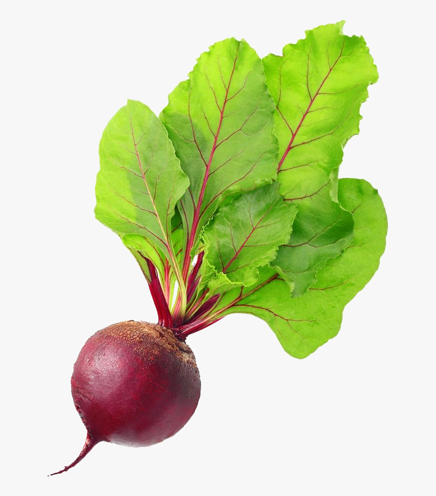 Beet Png, Transparent Clipart