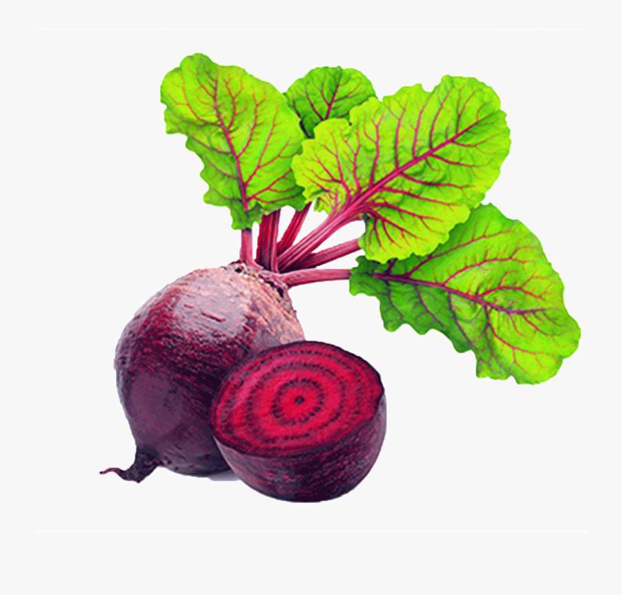 Red Beet Root Physical Material - Beets Png, Transparent Clipart