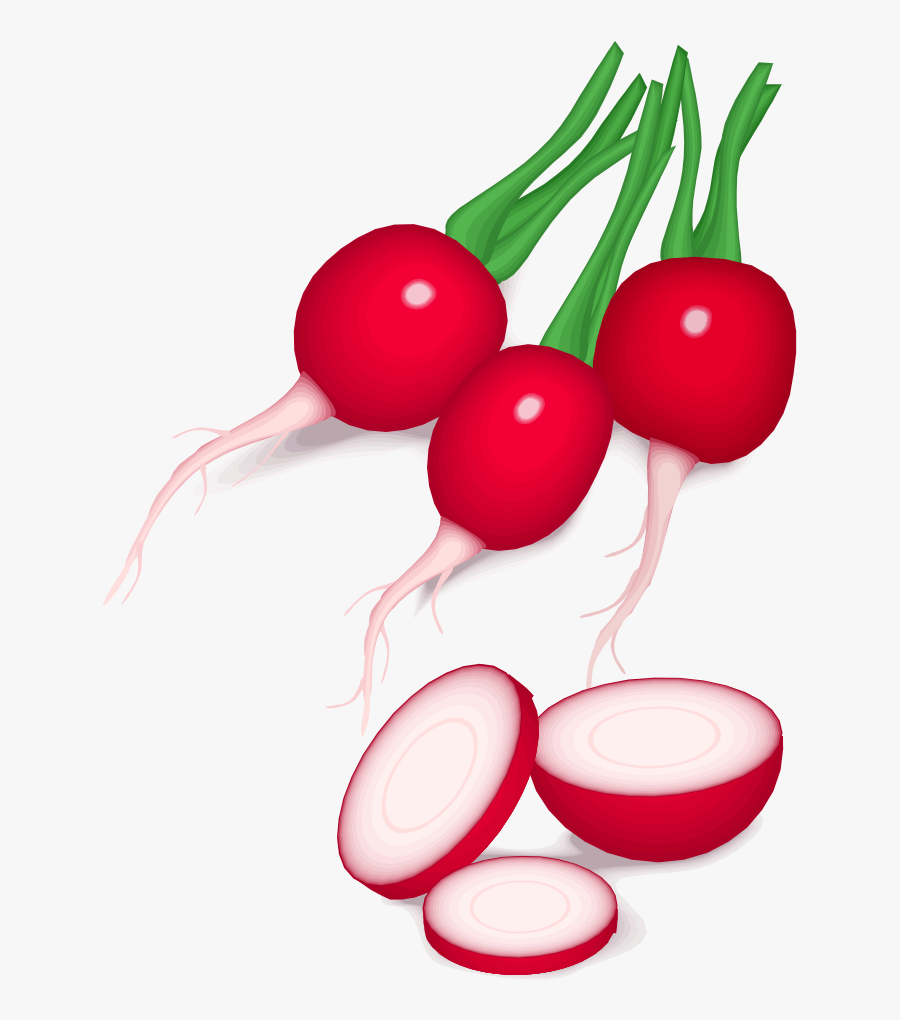 Beetroot,food,radish - Radish Clipart Png, Transparent Clipart