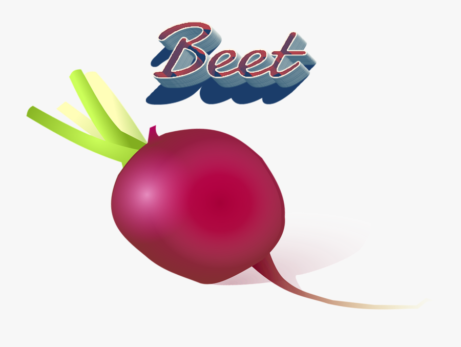 Beet Png Clipart - Vegetable, Transparent Clipart