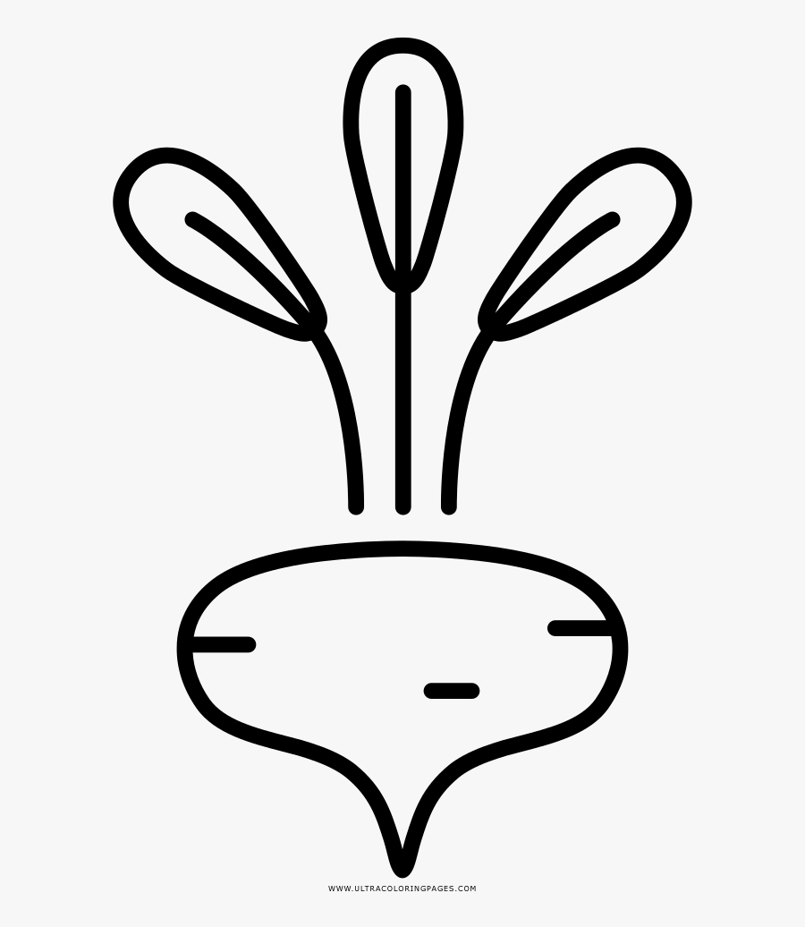 Beet Coloring Page, Transparent Clipart