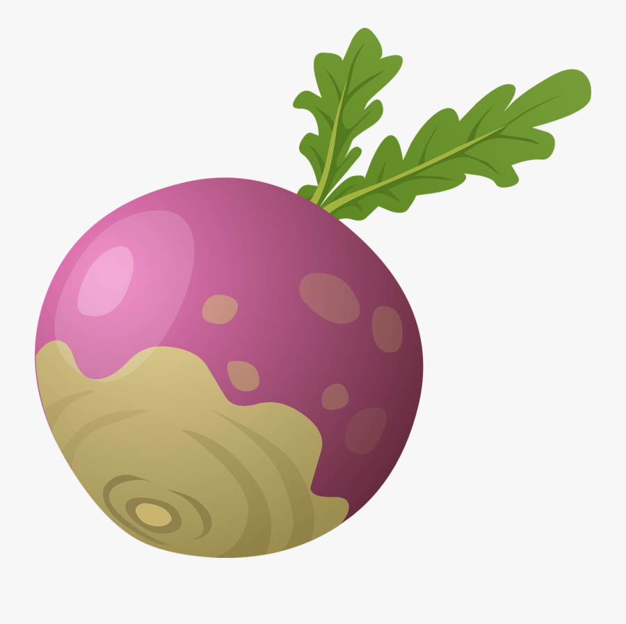 Beet Png - Turnip Clipart, Transparent Clipart