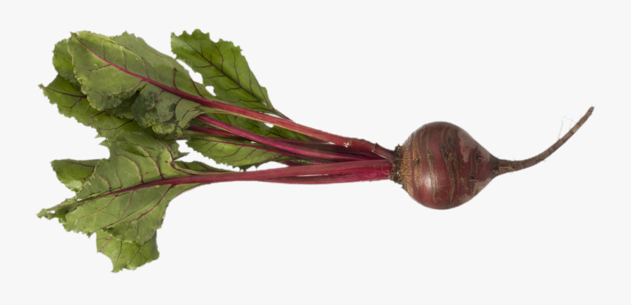 Beets Png, Transparent Clipart