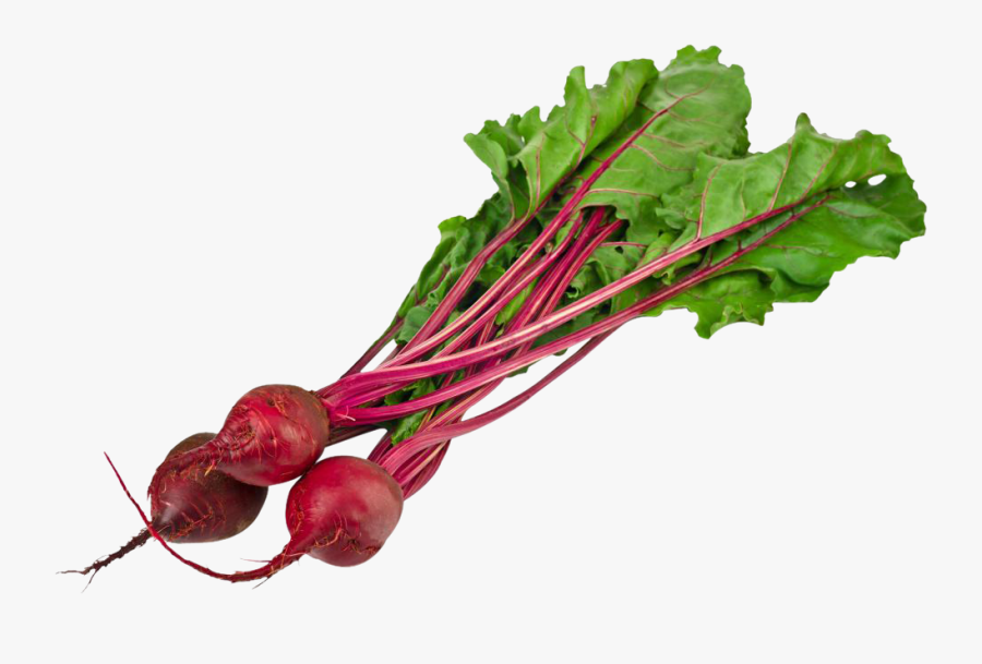 27147 - Beets Vegetable Png, Transparent Clipart