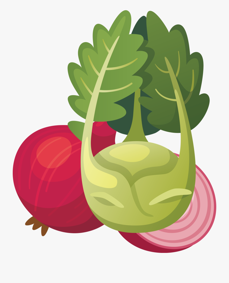 Svg Freeuse Fruit Vegetable Radish Gouache - Tranh Ve Rau Ăn Lá, Transparent Clipart