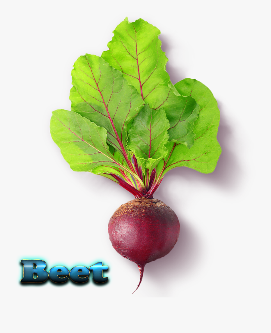 Beet Free Download Png - Beetroot Png, Transparent Clipart