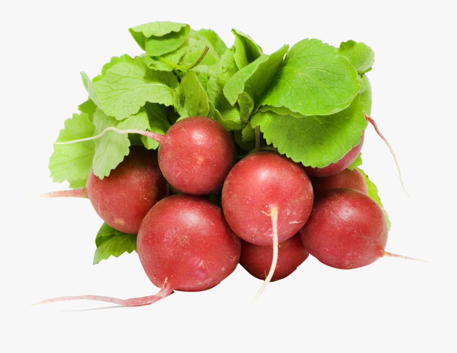 Turnip - Radish Transparent, Transparent Clipart