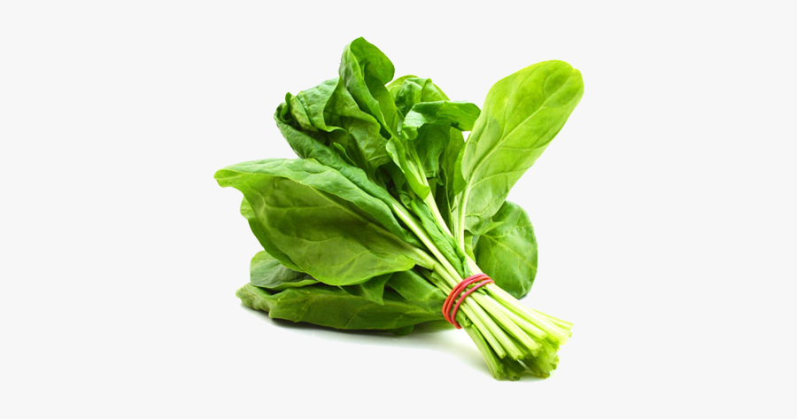 Free Hd Vector Clipart - Spinach Png, Transparent Clipart